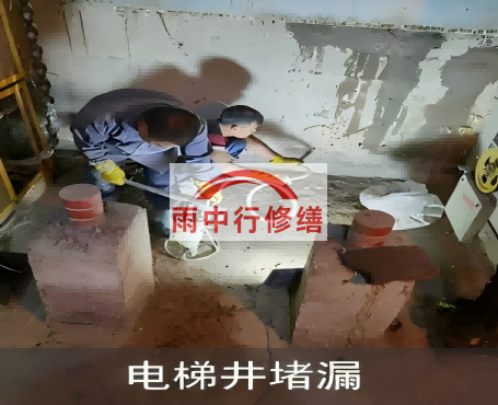 临汾星雨华府电梯井堵漏案例